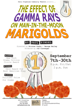 Patio_GammaPoster